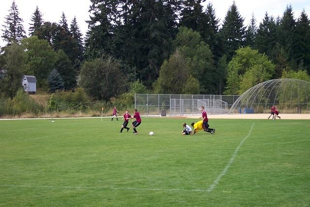 Picture 011
