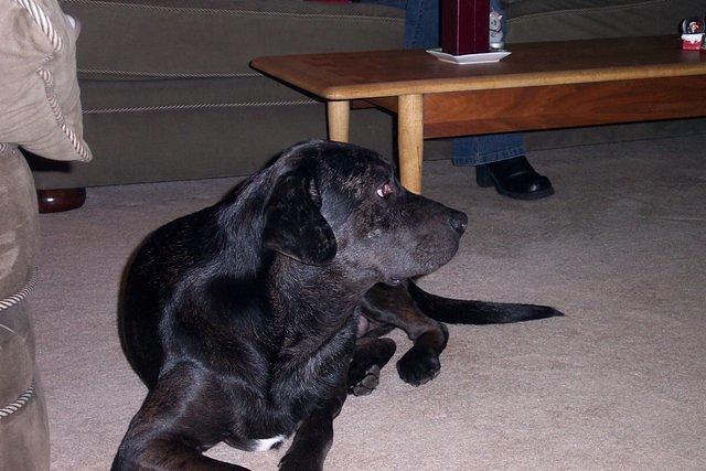 Picture 075