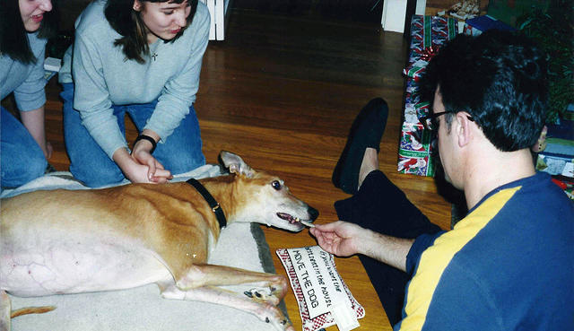 scan0217