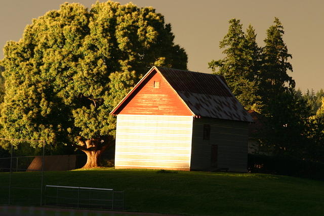 Picture 003