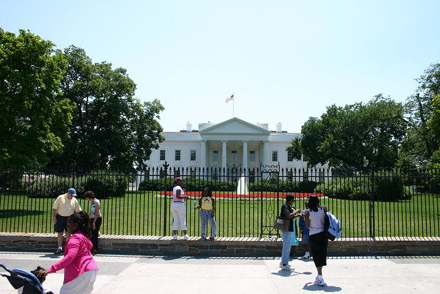 Picture 012