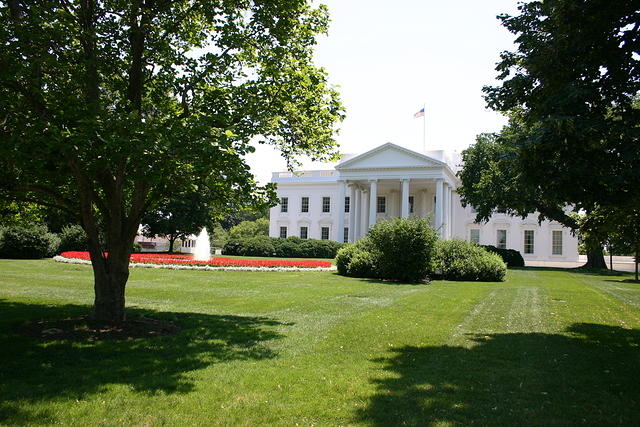 Picture 013