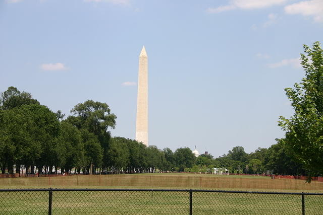 Picture 061