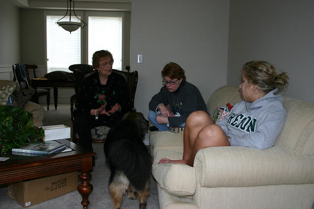 Picture 010
