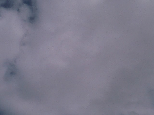 IMAGE 094
