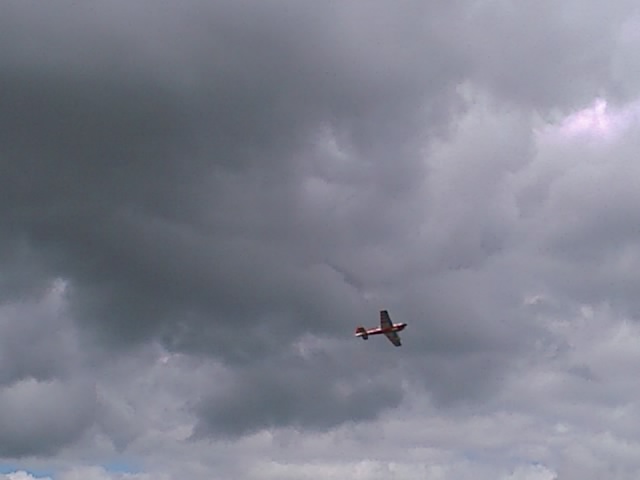 IMAGE 104