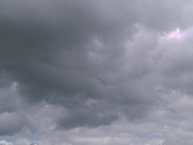 IMAGE 107