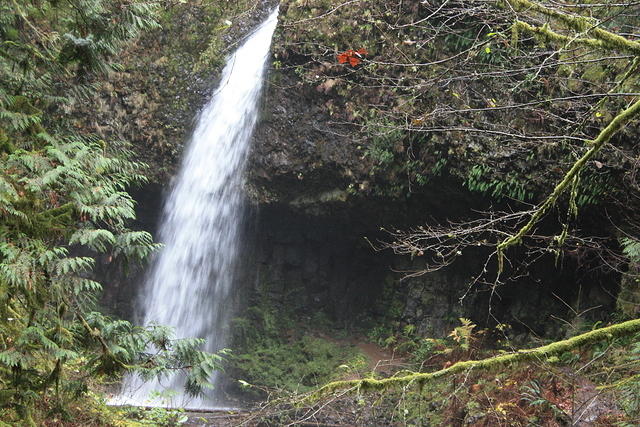 IMG 0142