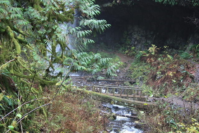 IMG 0144