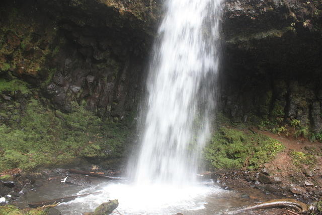 IMG 0149