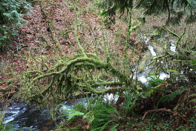 IMG 0160