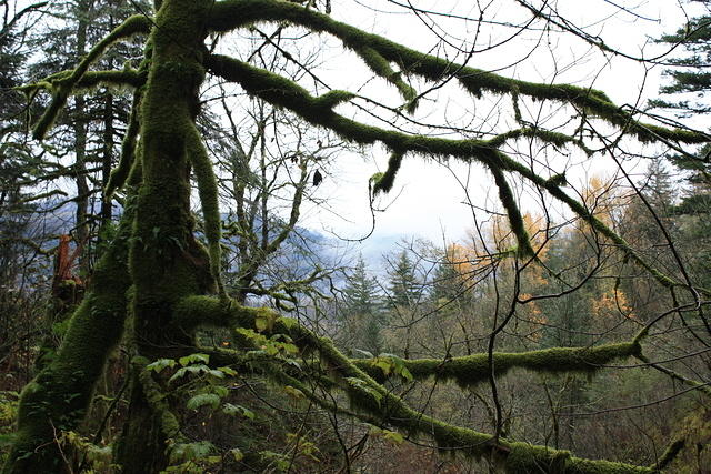 IMG 0175