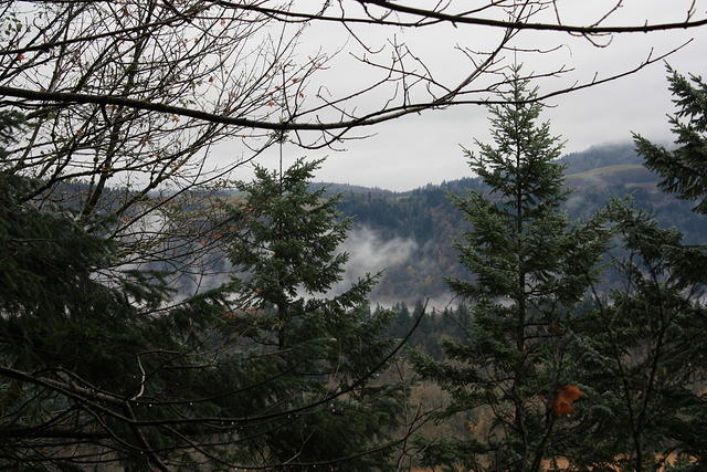 IMG 0176