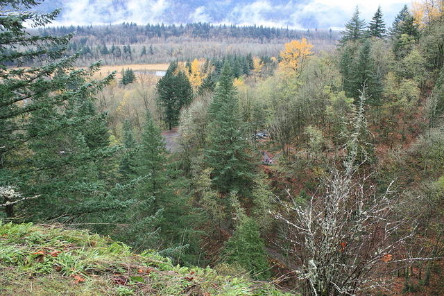 IMG 0178