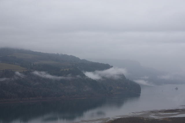 IMG 0208