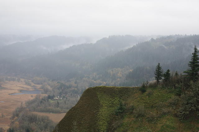 IMG 0210