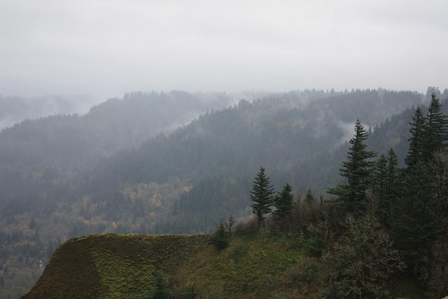 IMG 0212