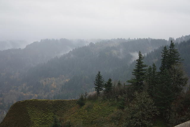 IMG 0214