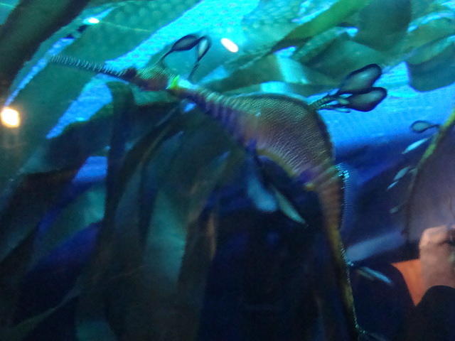 DSC01925