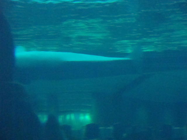 DSC01932