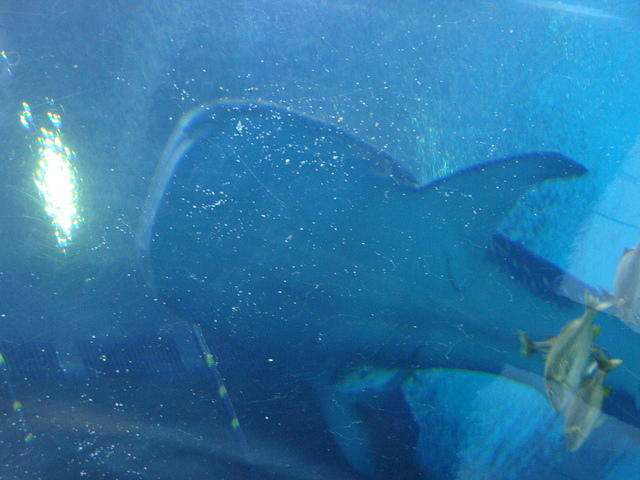 DSC01946