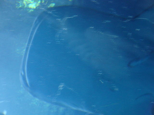 DSC01952