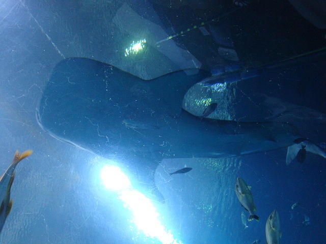 DSC01953