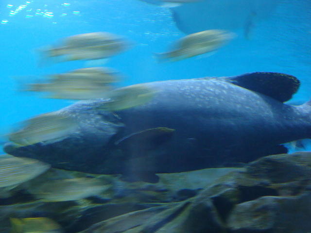 DSC01955
