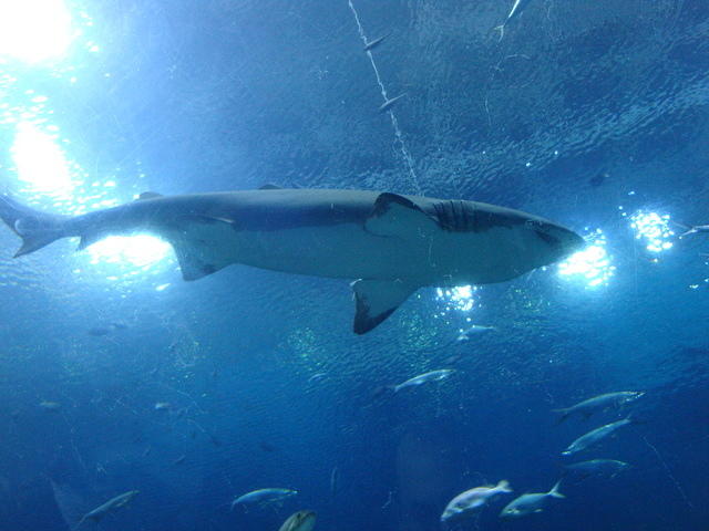 DSC01958