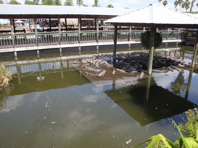 DSC02493