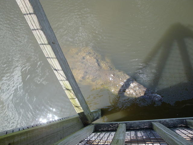 DSC02496