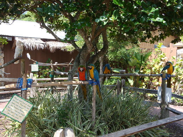 DSC02500