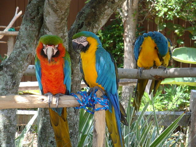 DSC02501