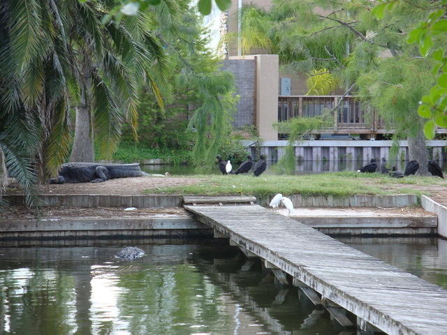 DSC02506