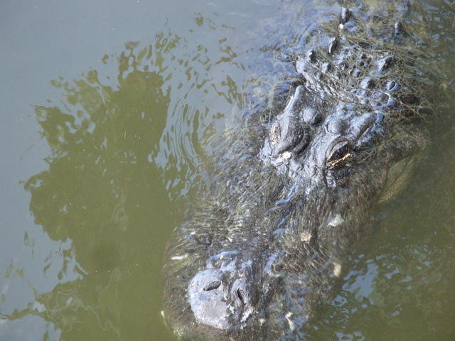 DSC02508