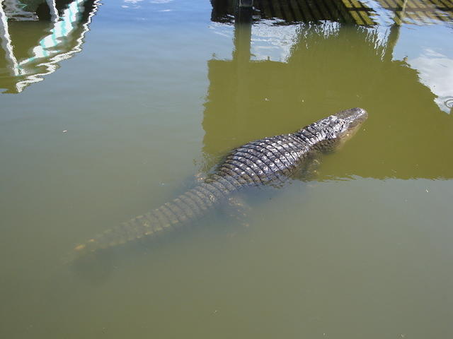 DSC02569
