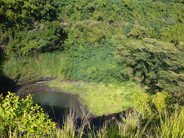 DSC02605