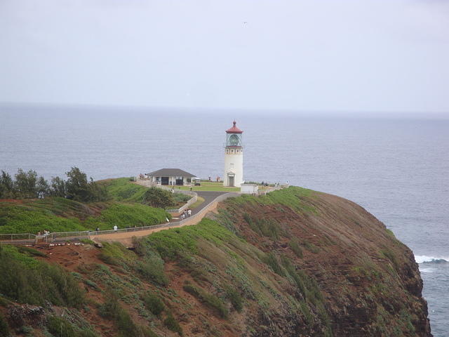 DSC02769