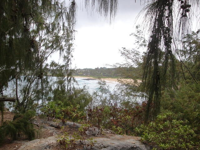 DSC02776