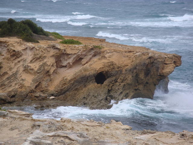 DSC02777