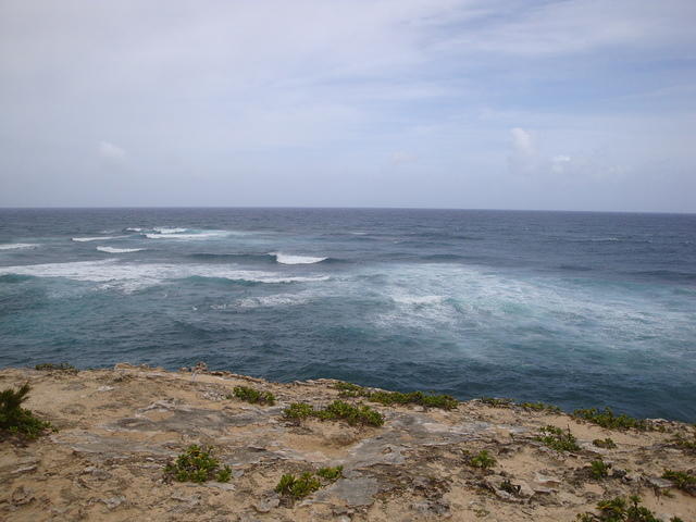 DSC02778