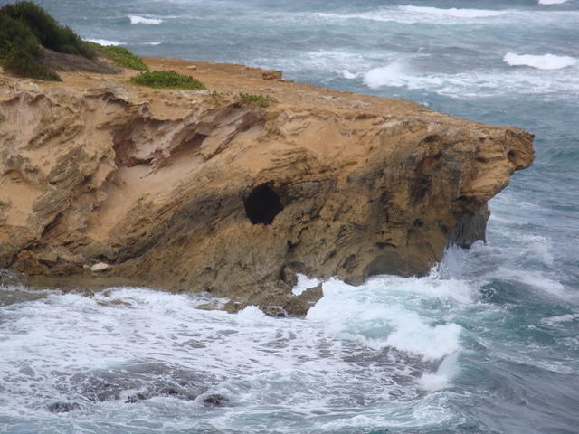 DSC02782