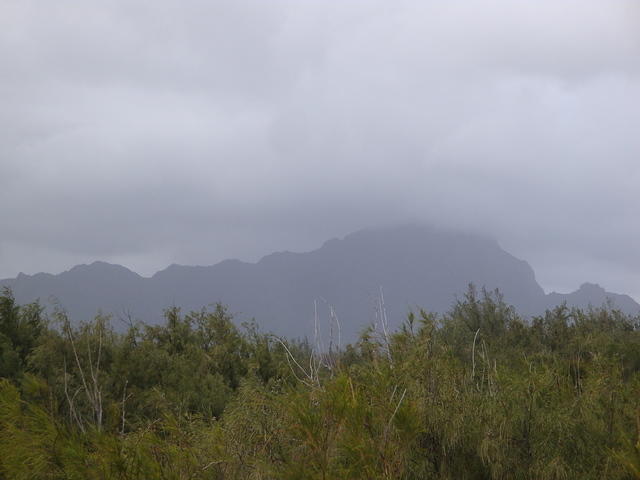 DSC02783