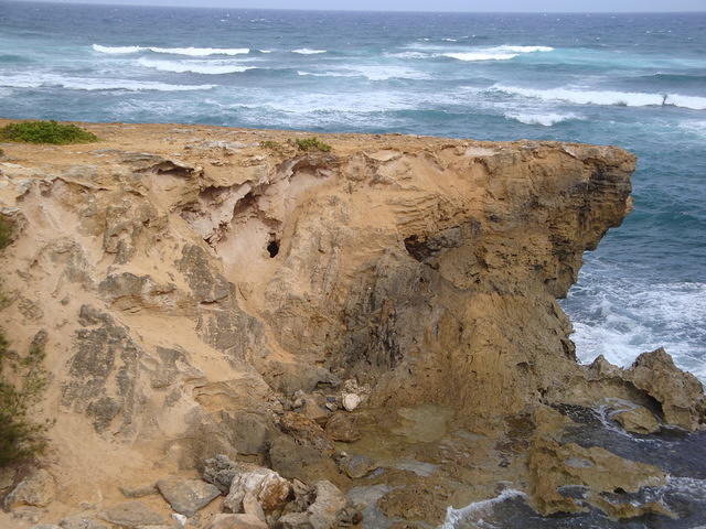 DSC02785