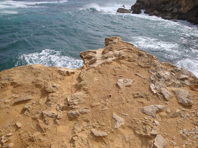 DSC02787