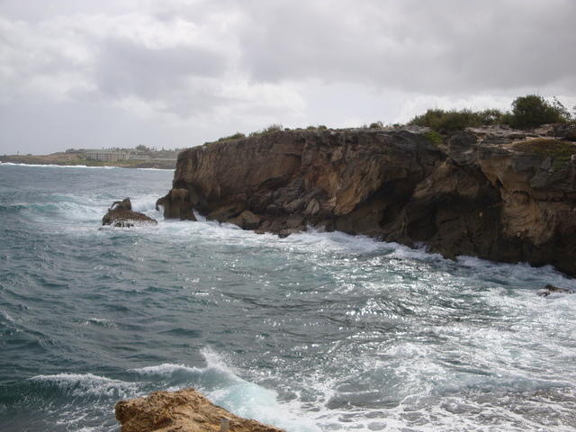 DSC02788