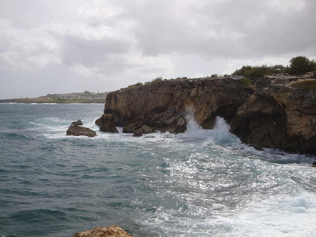 DSC02790