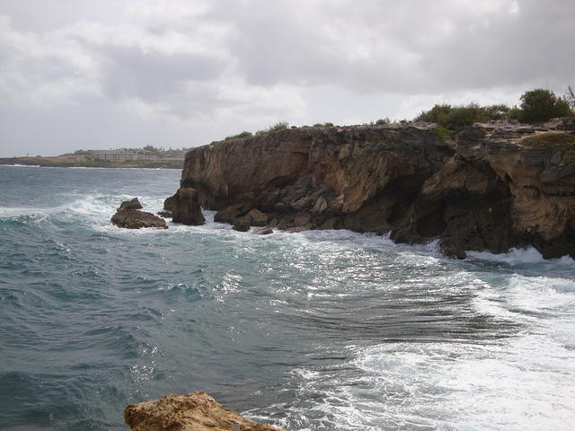 DSC02791