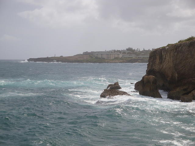DSC02795