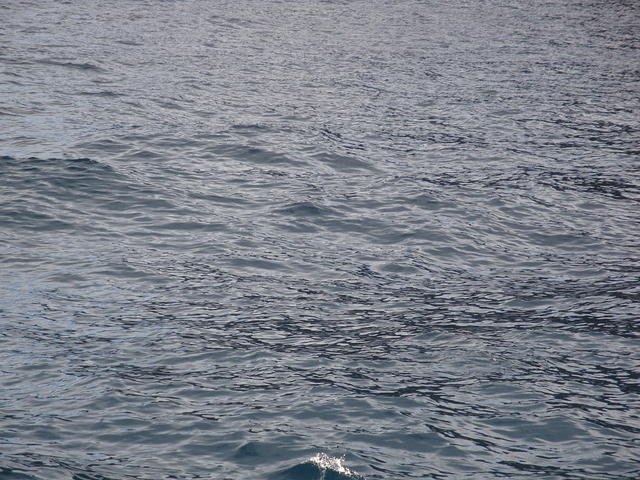 DSC02808